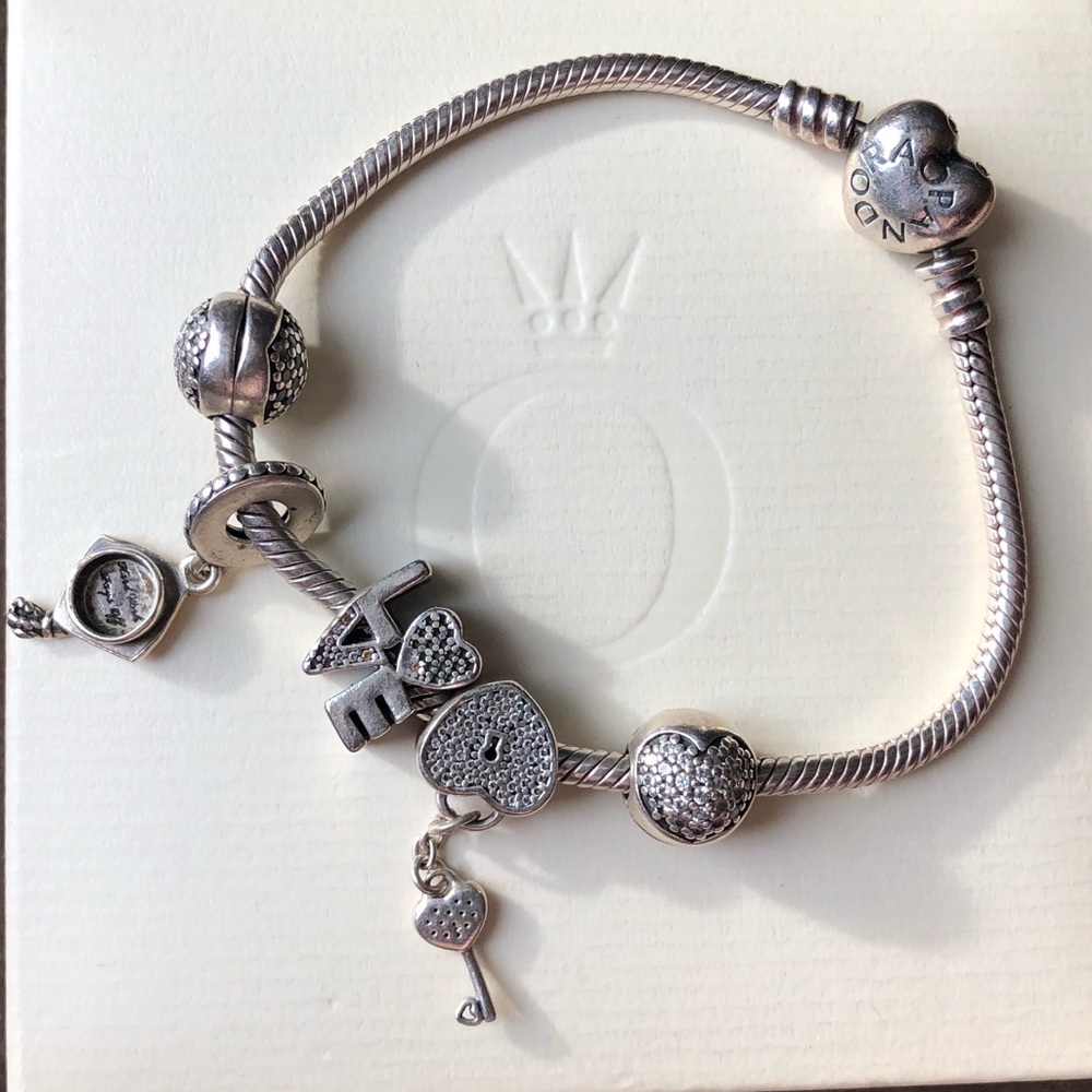 Pandora Snake Bracelet w/ 5 Pandora Charms